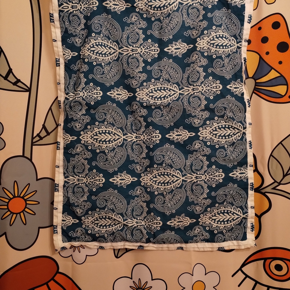 Blue and White Paisley Pillow Sham Set (2)